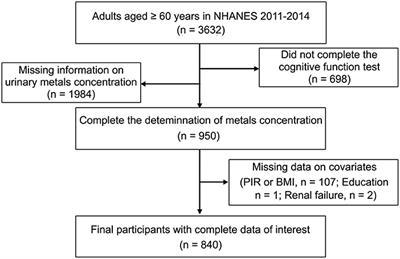 Relationships between urinary metals concentrations and cognitive performance among U.S. older people in NHANES 2011–2014